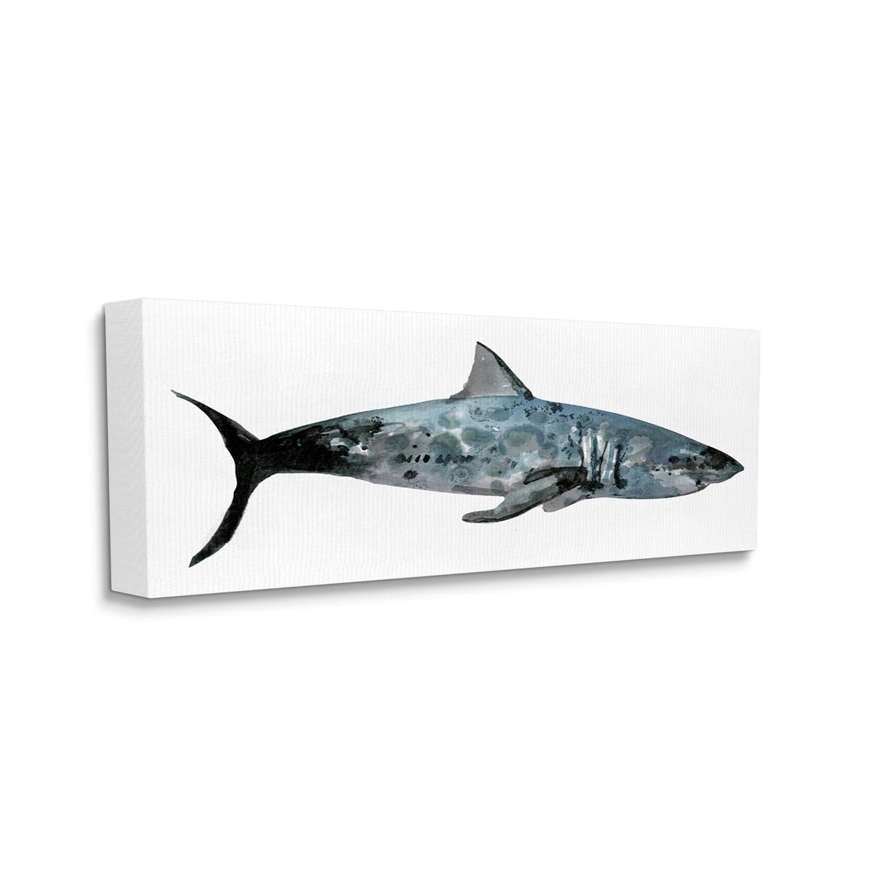 Stupell Industries Watercolor Shark Canvas Wall Art